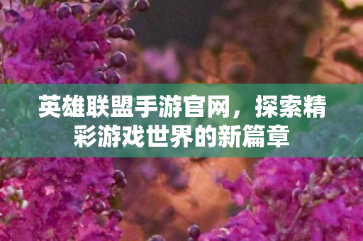 英雄联盟手游官网,探索精彩游戏世界的新篇章 英雄联盟手游官网,探索精彩游戏世界的新篇章