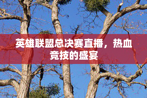 英雄联盟总决赛直播,热血竞技的盛宴 英雄联盟总决赛直播,热血竞技的盛宴