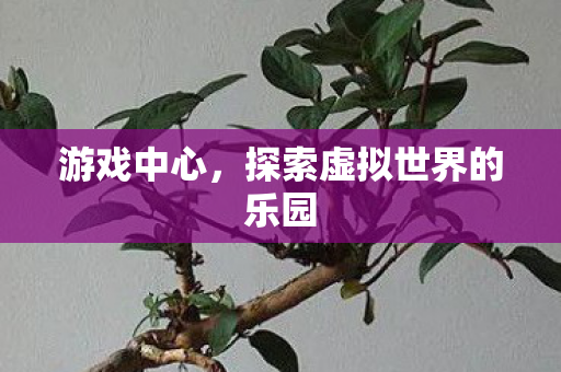 游戏中心，探索虚拟世界的乐园