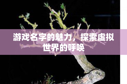 游戏名字的魅力，探索虚拟世界的呼唤