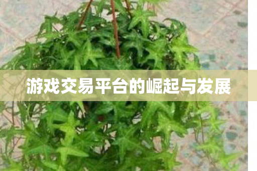 游戏交易平台的崛起与发展