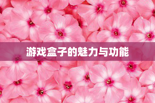 游戏盒子的魅力与功能 游戏盒子的魅力与功能