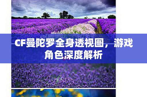 CF曼陀罗全身透视图,游戏角色深度解析 CF曼陀罗全身透视图,游戏角色深度解析