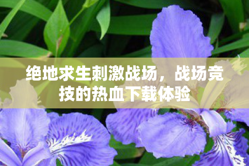 绝地求生刺激战场,战场竞技的热血下载体验 绝地求生刺激战场,战场竞技的热血下载体验