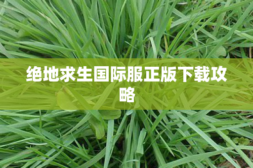 绝地求生国际服正版下载攻略 绝地求生国际服正版下载攻略