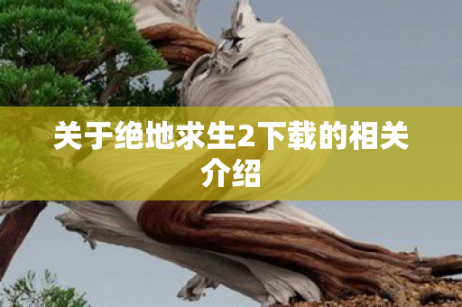 关于绝地求生2下载的相关介绍 关于绝地求生2下载的相关介绍