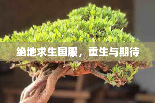 绝地求生国服，重生与期待