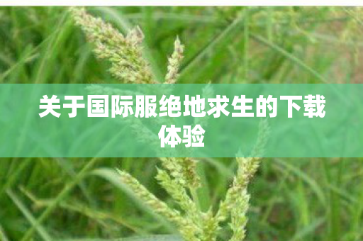 关于国际服绝地求生的下载体验
