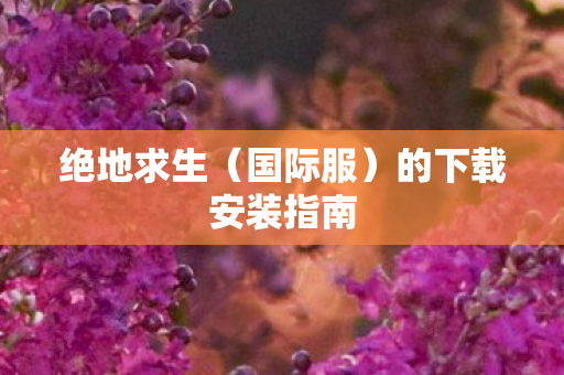 绝地求生(国际服)的下载安装指南 绝地求生(国际服)的下载安装指南