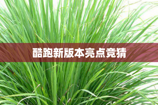 酷跑新版本亮点竞猜 酷跑新版本亮点竞猜