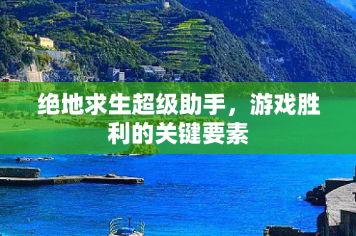 绝地求生超级助手,游戏胜利的关键要素 绝地求生超级助手,游戏胜利的关键要素