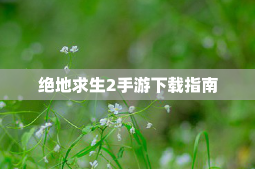 绝地求生2手游下载指南