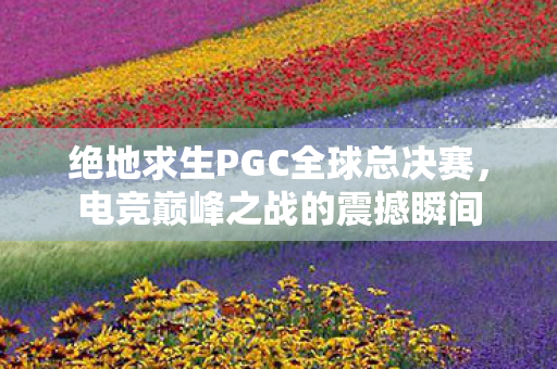 绝地求生PGC全球总决赛，电竞巅峰之战的震撼瞬间