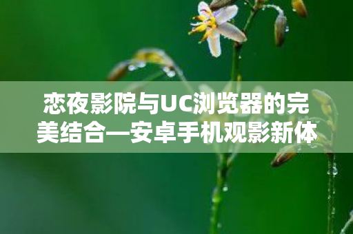 恋夜影院与UC浏览器的完美结合—安卓手机观影新体验 恋夜影院与UC浏览器的完美结合—安卓手机观影新体验