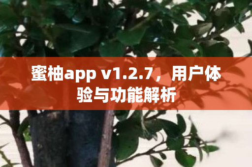 蜜柚app v1.2.7，用户体验与功能解析