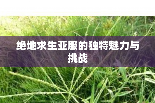 绝地求生亚服的独特魅力与挑战 绝地求生亚服的独特魅力与挑战