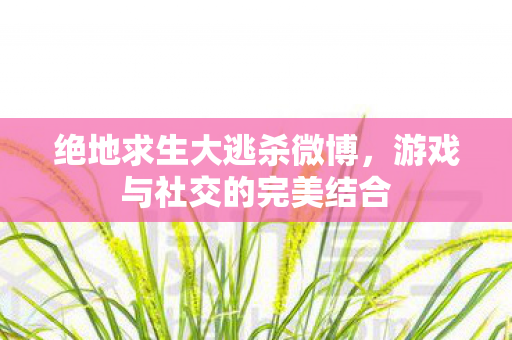 绝地求生大逃杀微博,游戏与社交的完美结合 绝地求生大逃杀微博,游戏与社交的完美结合