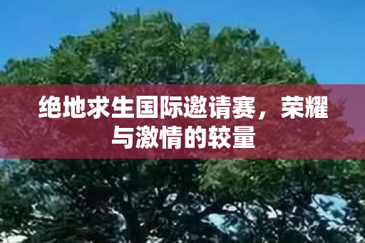绝地求生国际邀请赛,荣耀与激情的较量 绝地求生国际邀请赛,荣耀与激情的较量