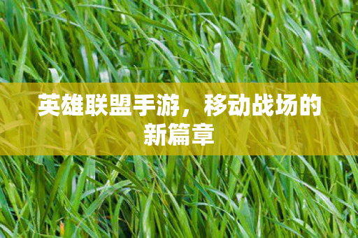 英雄联盟手游,移动战场的新篇章 英雄联盟手游,移动战场的新篇章