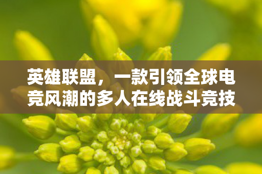 英雄联盟,一款引领全球电竞风潮的多人在线战斗竞技游戏 英雄联盟,一款引领全球电竞风潮的多人在线战斗竞技游戏