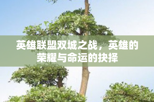 英雄联盟双城之战,英雄的荣耀与命运的抉择 英雄联盟双城之战,英雄的荣耀与命运的抉择
