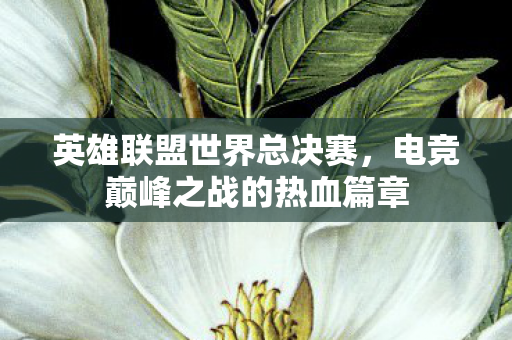 英雄联盟世界总决赛,电竞巅峰之战的热血篇章 英雄联盟世界总决赛,电竞巅峰之战的热血篇章