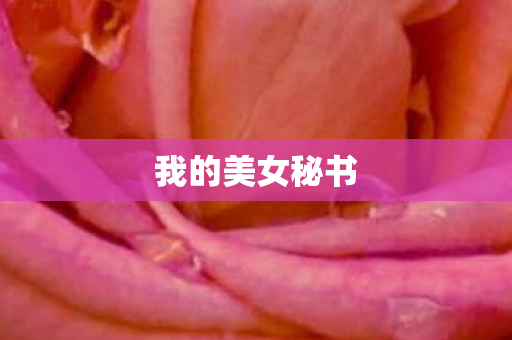 我的美女秘书 我的美女秘书