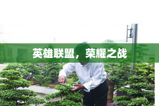 英雄联盟,荣耀之战 英雄联盟,荣耀之战