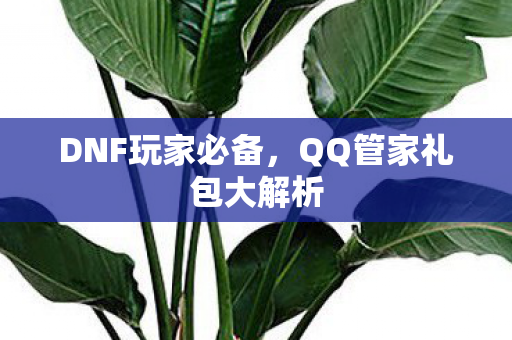 DNF玩家必备,QQ管家礼包大解析 DNF玩家必备,QQ管家礼包大解析