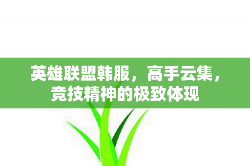英雄联盟韩服,高手云集,竞技精神的极致体现 英雄联盟韩服,高手云集,竞技精神的极致体现