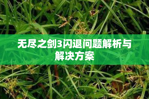 无尽之剑3闪退问题解析与解决方案