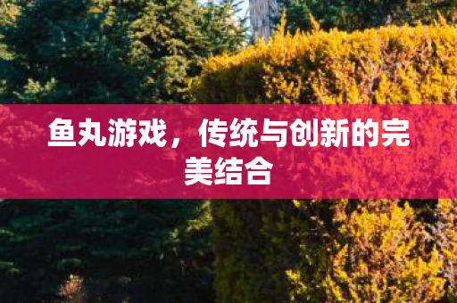 鱼丸游戏,传统与创新的完美结合 鱼丸游戏,传统与创新的完美结合