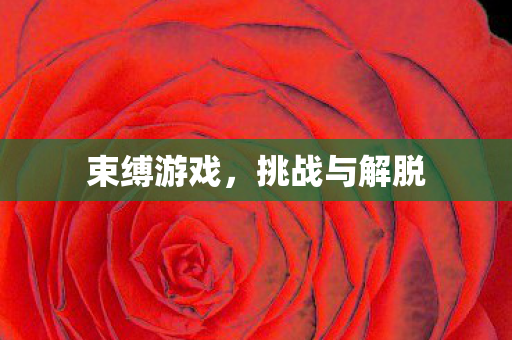 束缚游戏,挑战与解脱 束缚游戏,挑战与解脱