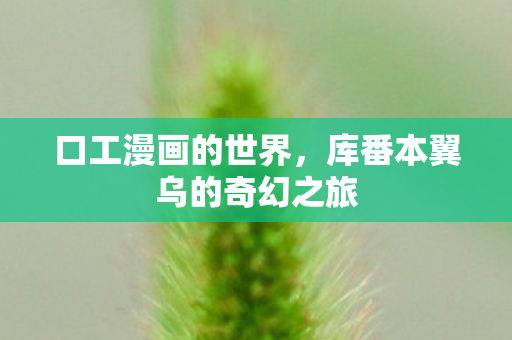 口工漫画的世界,库番本翼乌的奇幻之旅 口工漫画的世界,库番本翼乌的奇幻之旅