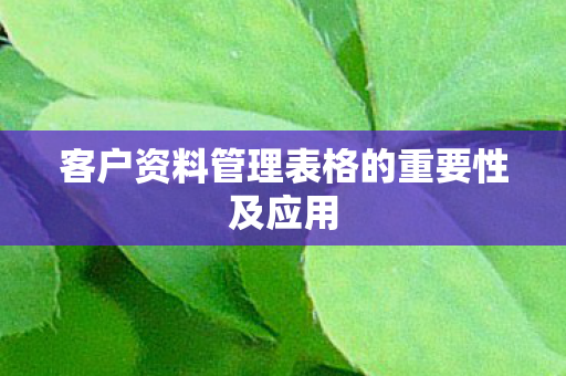 客户资料管理表格的重要性及应用