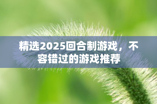 精选2025回合制游戏，不容错过的游戏推荐