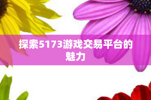 探索5173游戏交易平台的魅力 探索5173游戏交易平台的魅力