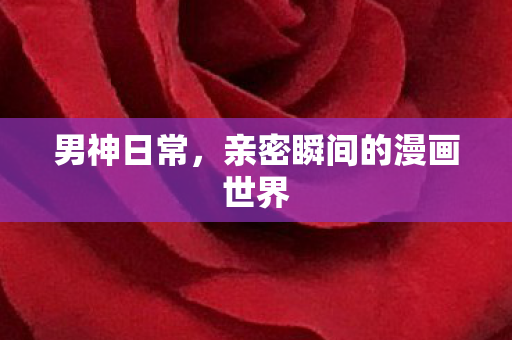 男神日常，亲密瞬间的漫画世界