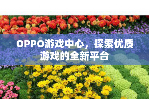 OPPO游戏中心,探索优质游戏的全新平台 OPPO游戏中心,探索优质游戏的全新平台