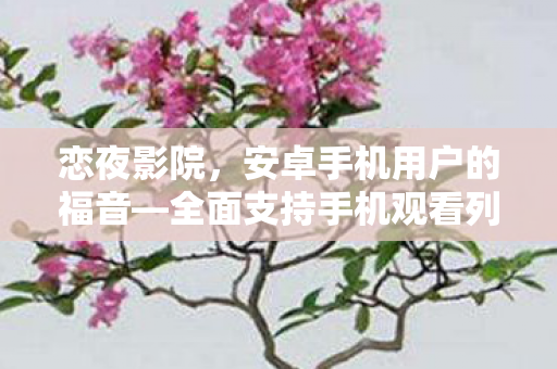恋夜影院,安卓手机用户的福音—全面支持手机观看列表 恋夜影院,安卓手机用户的福音—全面支持手机观看列表