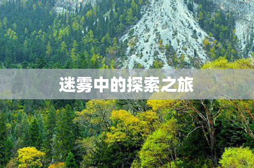 迷雾中的探索之旅