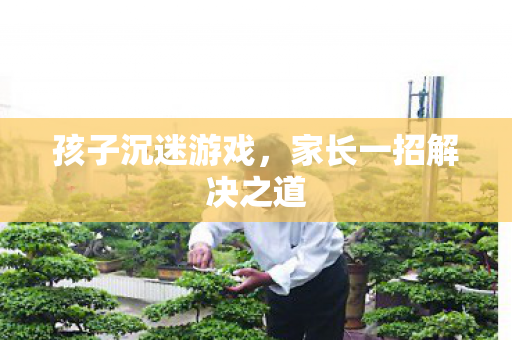 孩子沉迷游戏,家长一招解决之道 孩子沉迷游戏,家长一招解决之道