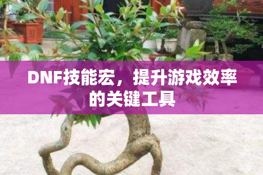 DNF技能宏,提升游戏效率的关键工具 DNF技能宏,提升游戏效率的关键工具