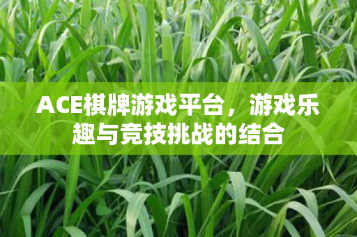 ACE棋牌游戏平台,游戏乐趣与竞技挑战的结合 ACE棋牌游戏平台,游戏乐趣与竞技挑战的结合