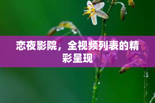 恋夜影院，全视频列表的精彩呈现