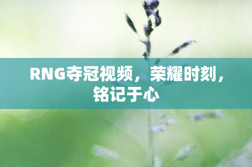 RNG夺冠视频,荣耀时刻,铭记于心 RNG夺冠视频,荣耀时刻,铭记于心