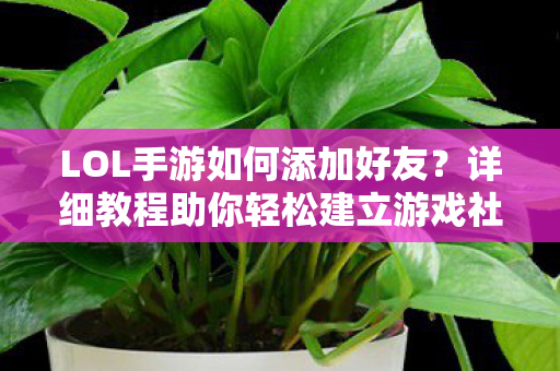 LOL手游如何添加好友?详细教程助你轻松建立游戏社交圈 LOL手游如何添加好友?详细教程助你轻松建立游戏社交圈