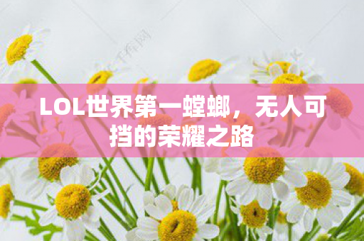 LOL世界第一螳螂,无人可挡的荣耀之路 LOL世界第一螳螂,无人可挡的荣耀之路