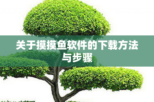 关于摸摸鱼软件的下载方法与步骤 关于摸摸鱼软件的下载方法与步骤