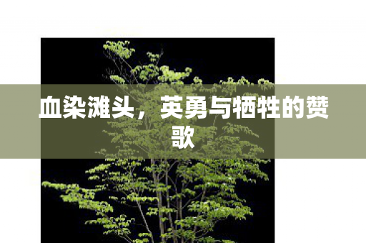 血染滩头,英勇与牺牲的赞歌 血染滩头,英勇与牺牲的赞歌